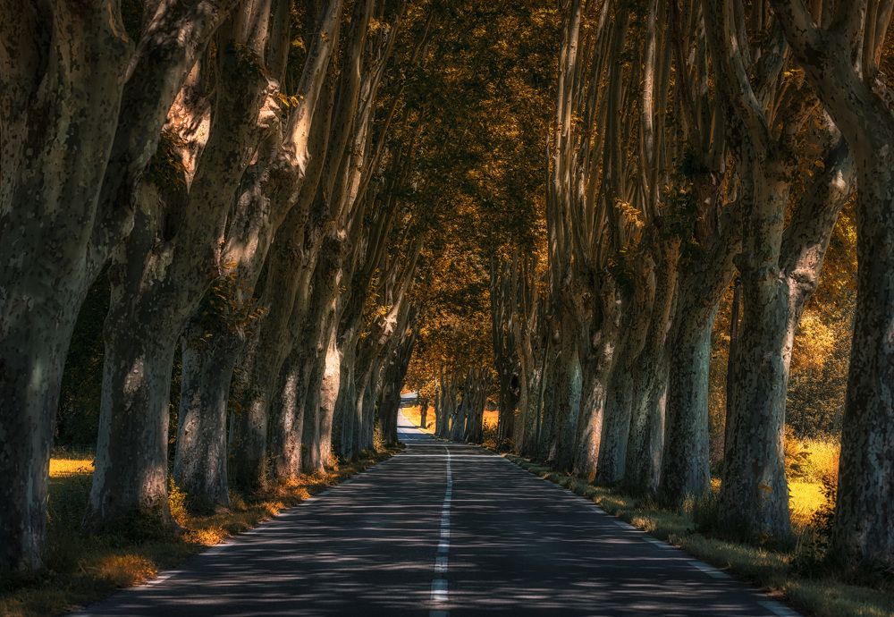 Фотография автора Александр Безмолитвенный