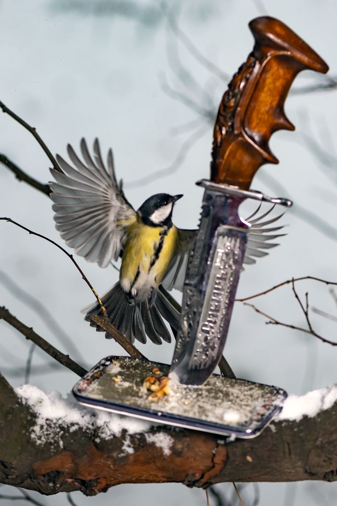 Photograph by Валерий Лейко