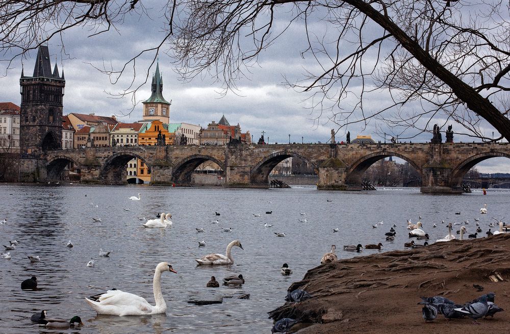 Photograph by Balog Francisc Sebastian