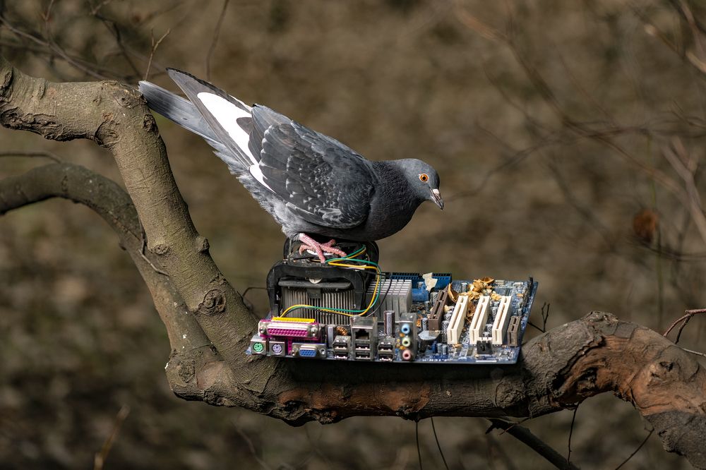 Photograph by Валерий Лейко