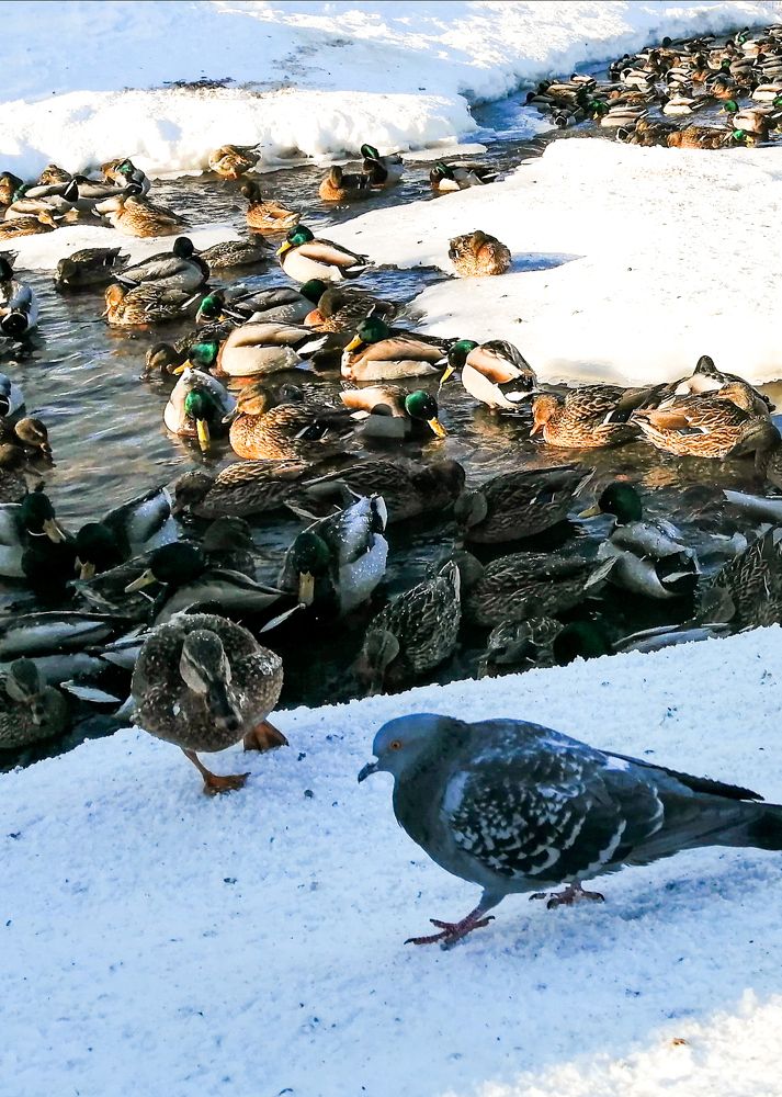 Photograph by Марина