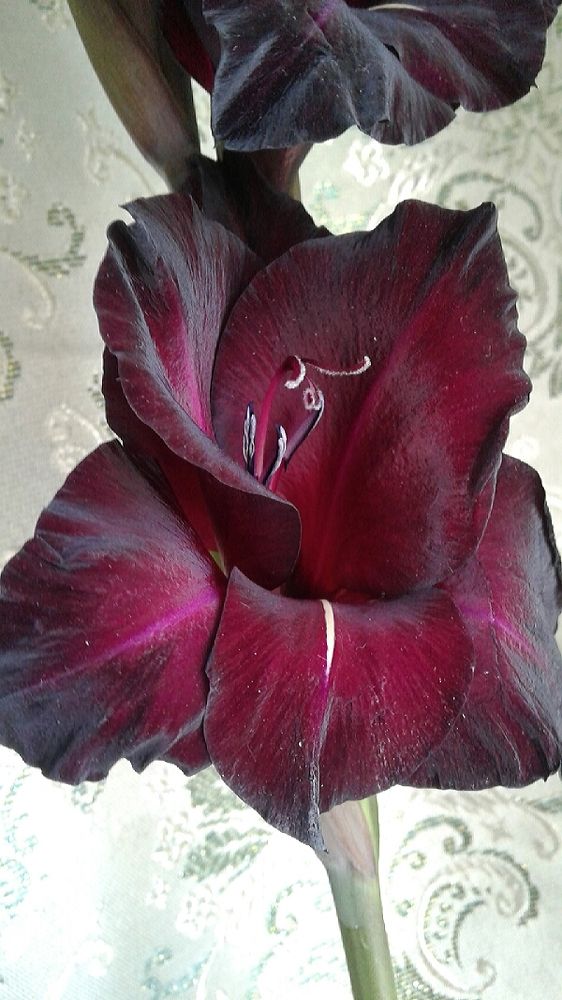 Photograph by Татьяна Собенникова