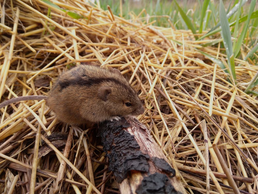 Photograph by Алексей Крукович