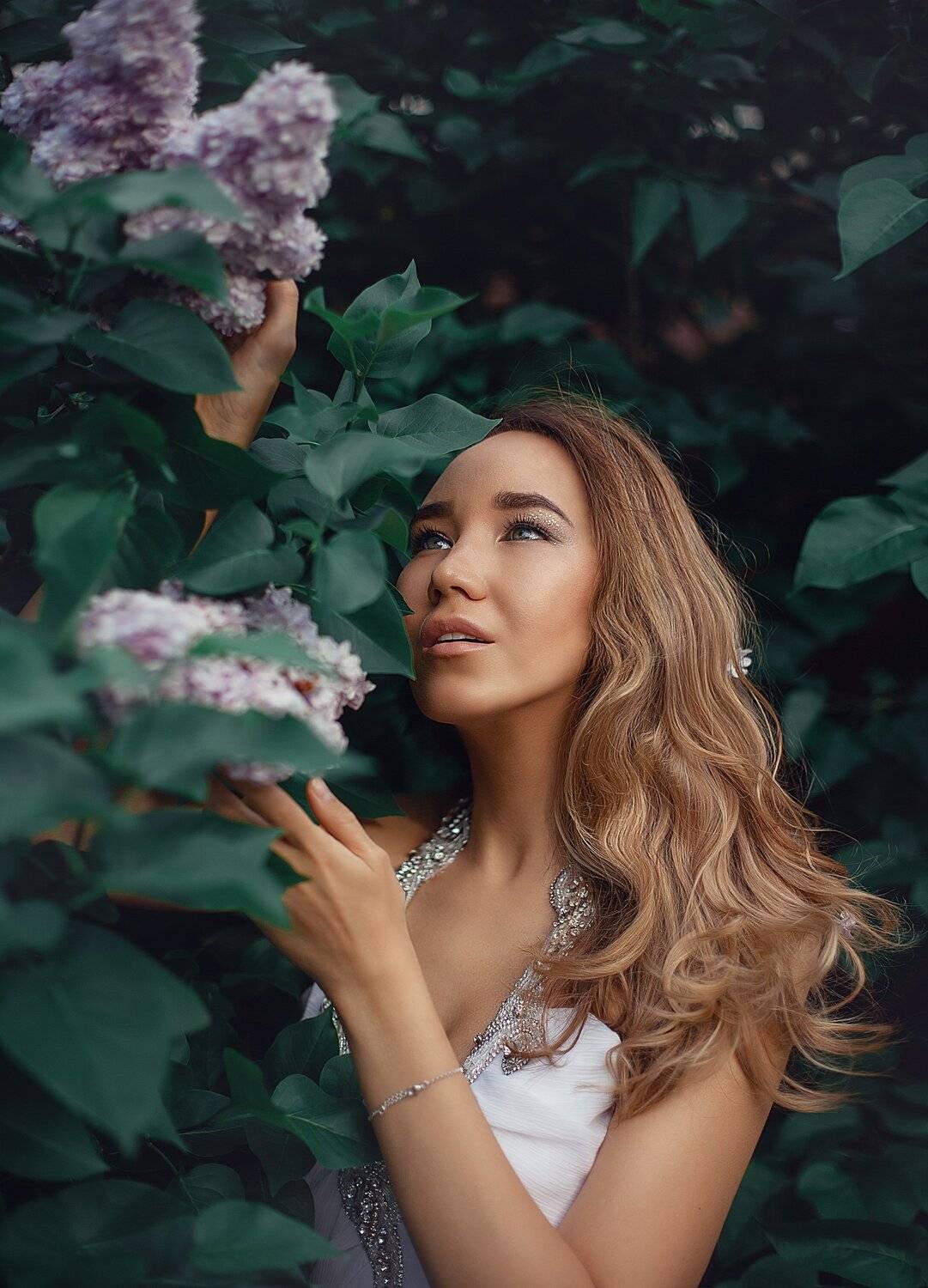 lilac garden