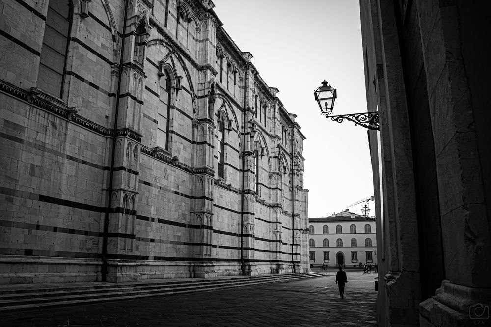 Царство одного фонаря