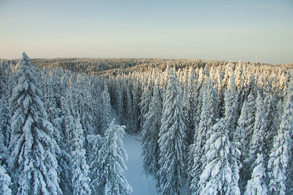 Photograph by Елена Брынько