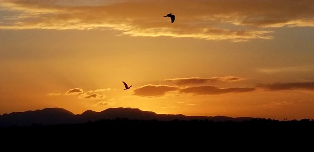 Sunset time