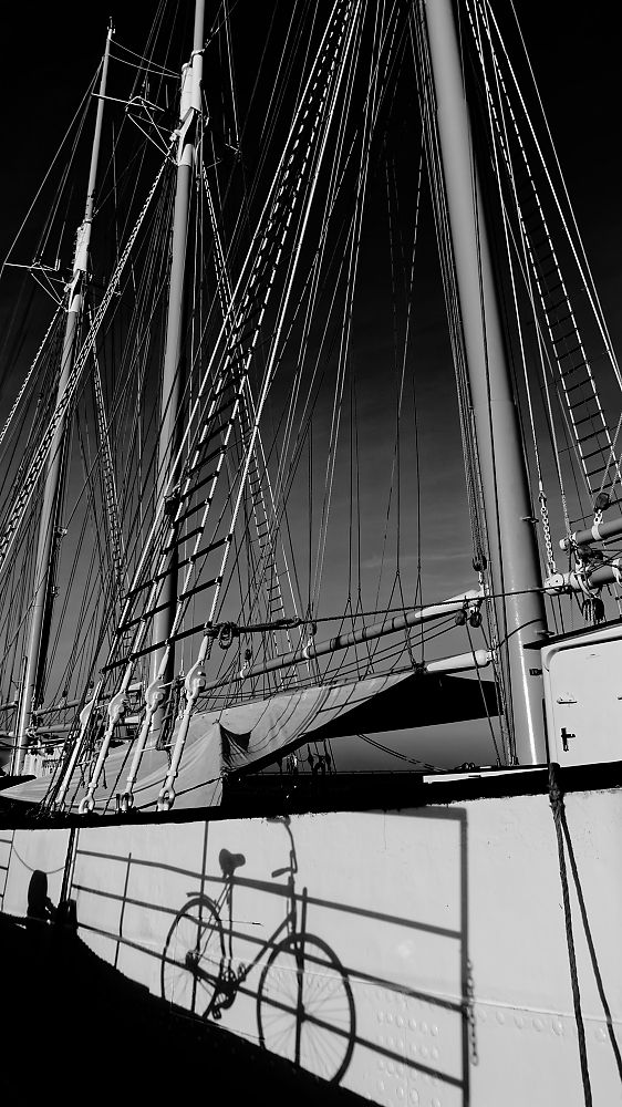 Photograph by Alain NEGRONI