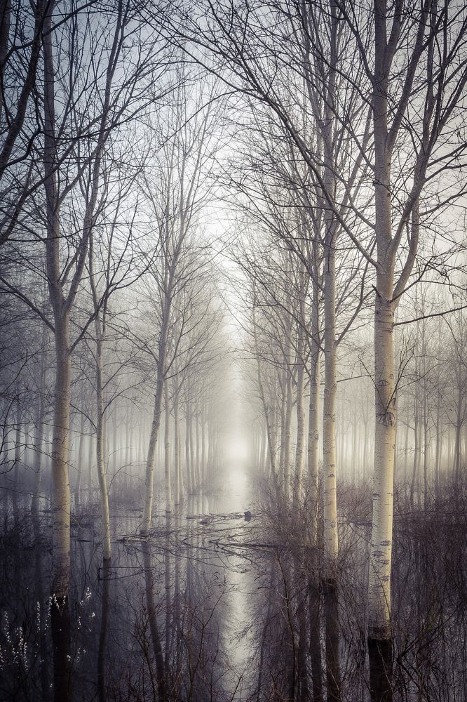 Photograph by Pamela Doretti