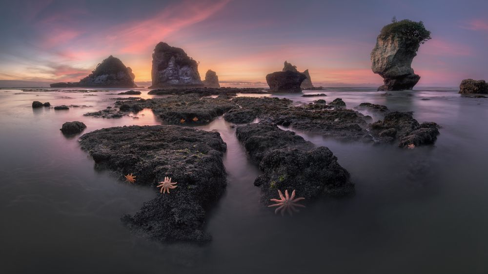 Coast of New Zealand