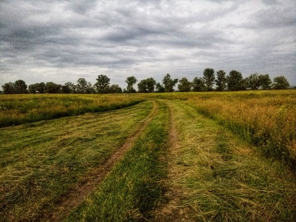 Photograph by Karina