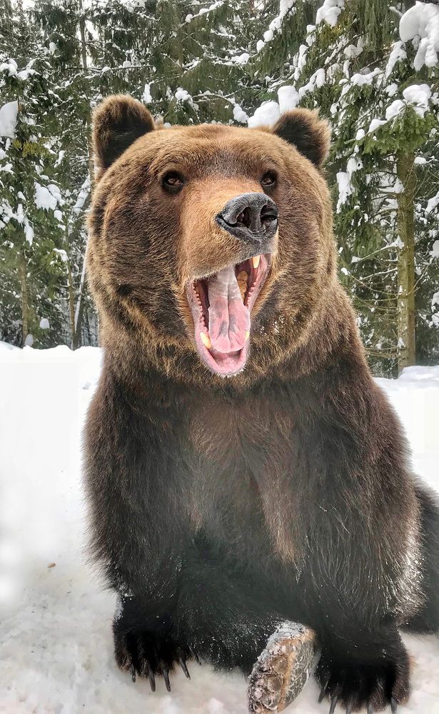 Photograph by Галина Ломако