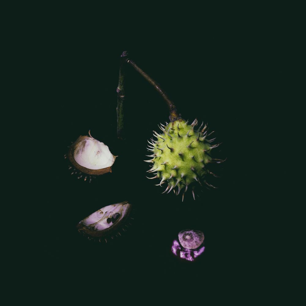 Photograph by Николай Марков