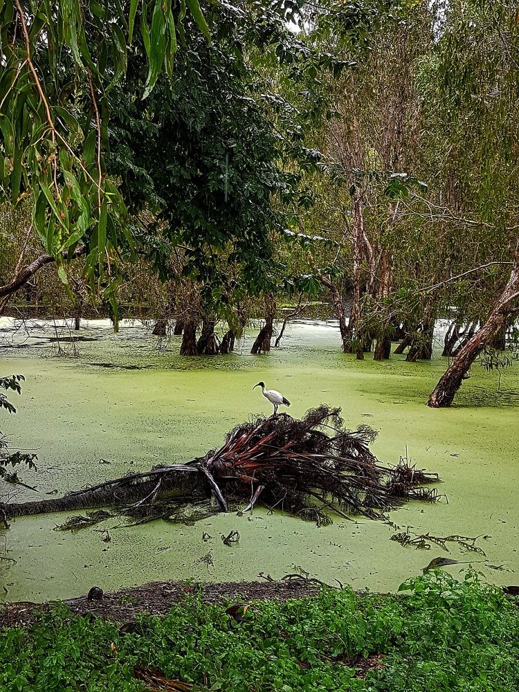 Photograph by Yuliya Naidyuk