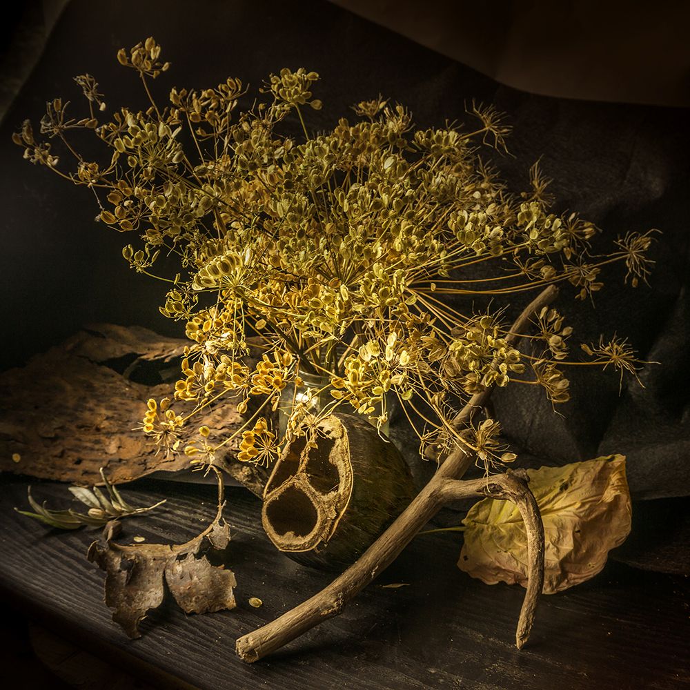 Фотография автора Milena Ivanova