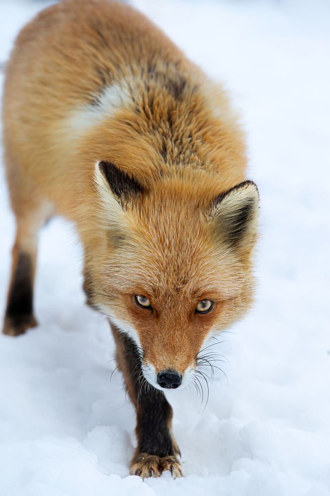 Photograph by W Shan