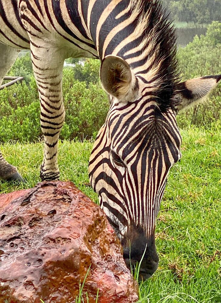 Photograph by Галина Ломако