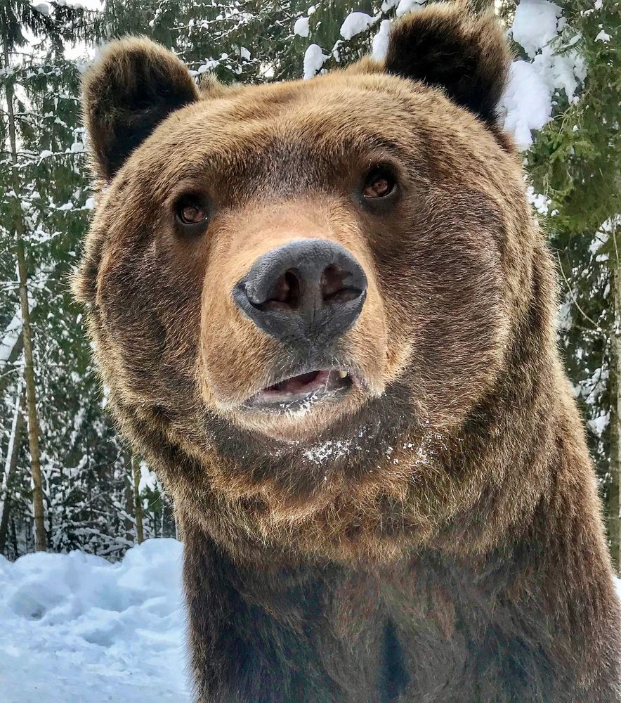 Photograph by Галина Ломако