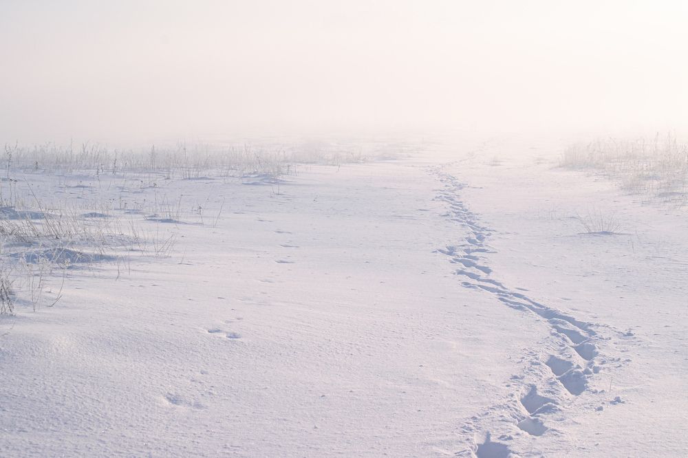 Photograph by Тамара Масло