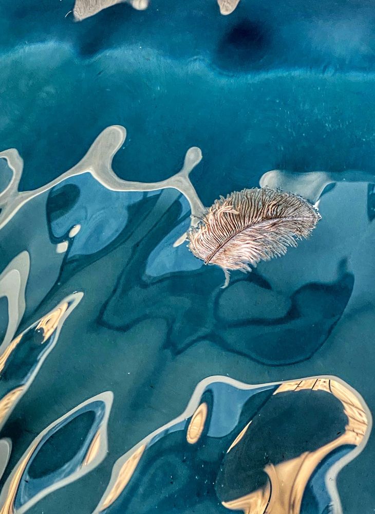 Photograph by Галина Ломако