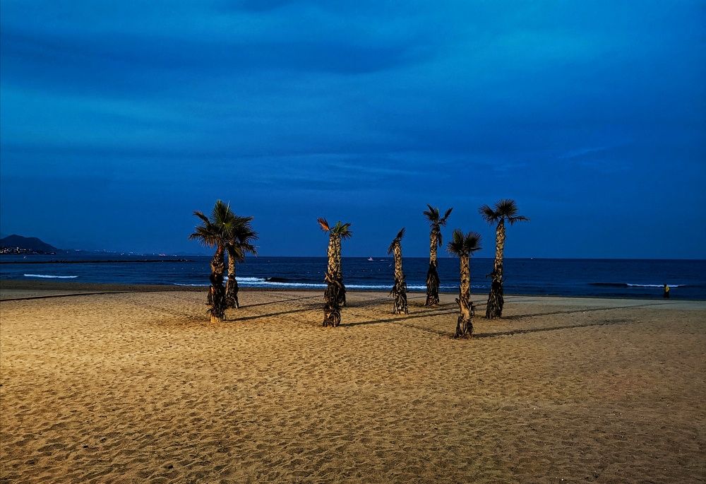 Photograph by Georgi Tomov