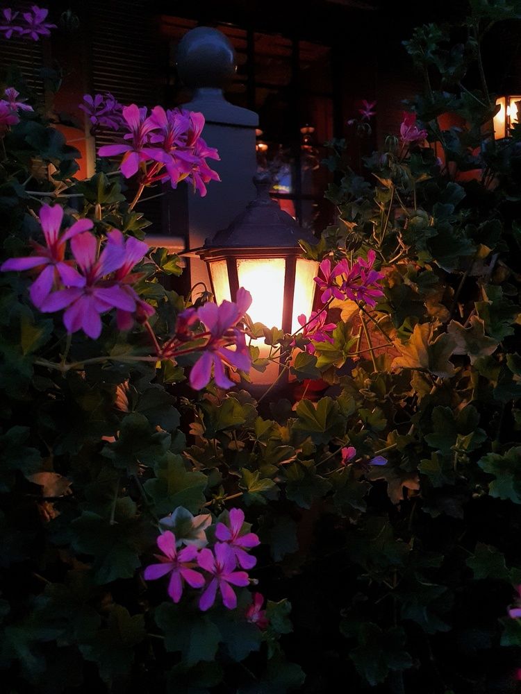 Photograph by Анна Александровна