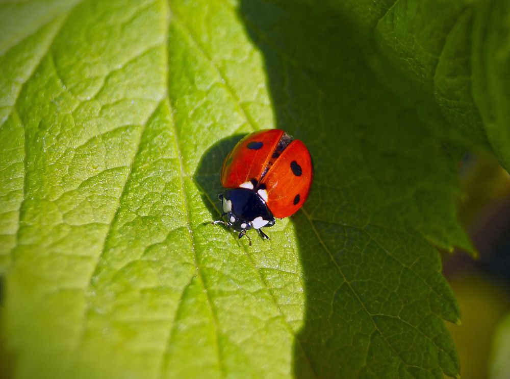 Photograph by Татьяна Мишустина