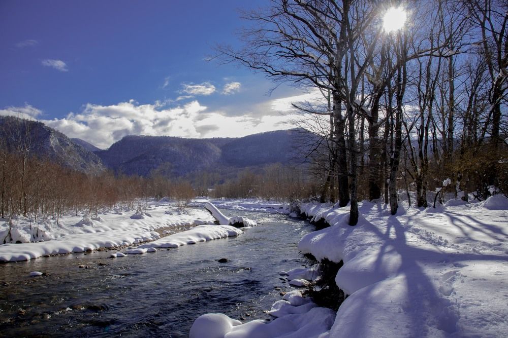 Photograph by Михаил Кравченко