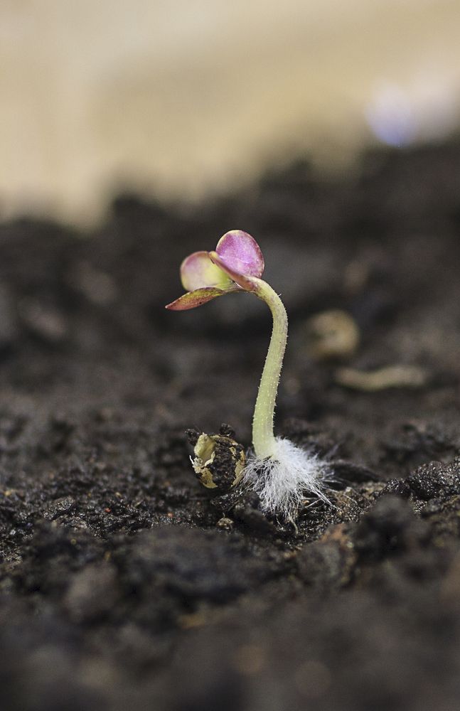 Фотография автора Рамиль Фаттахов