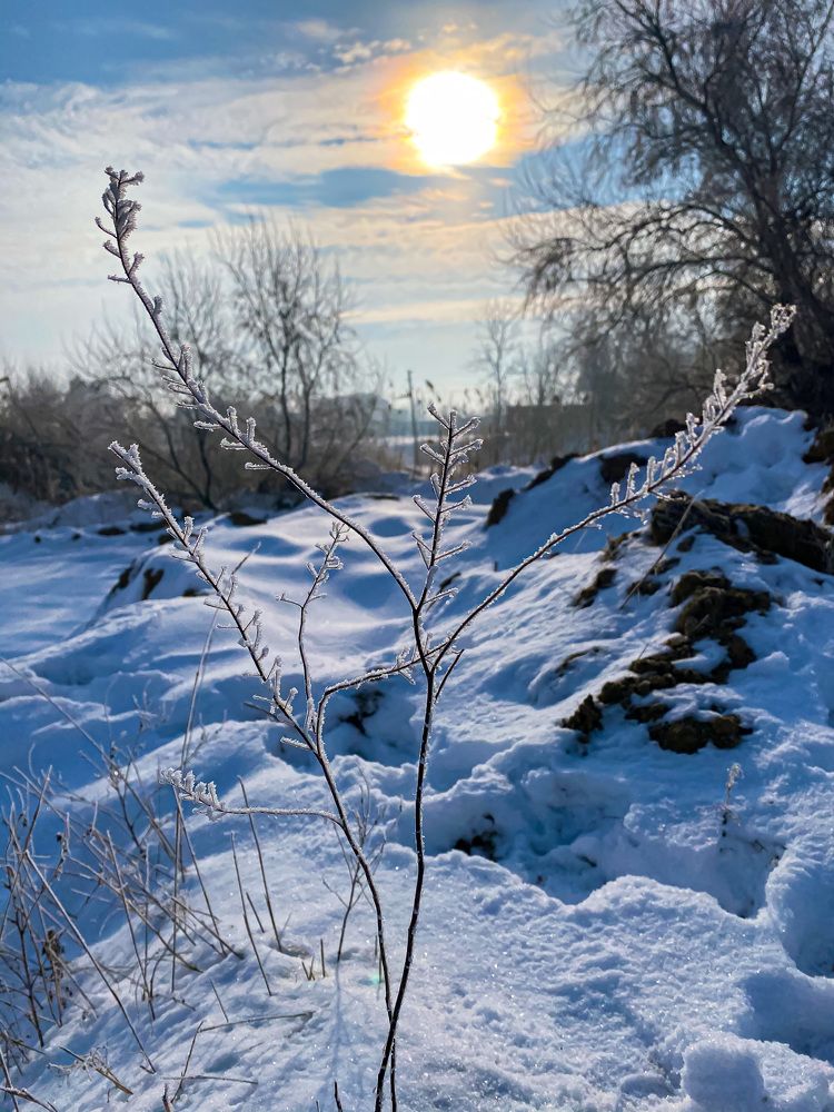 Photograph by Мария Чернецова