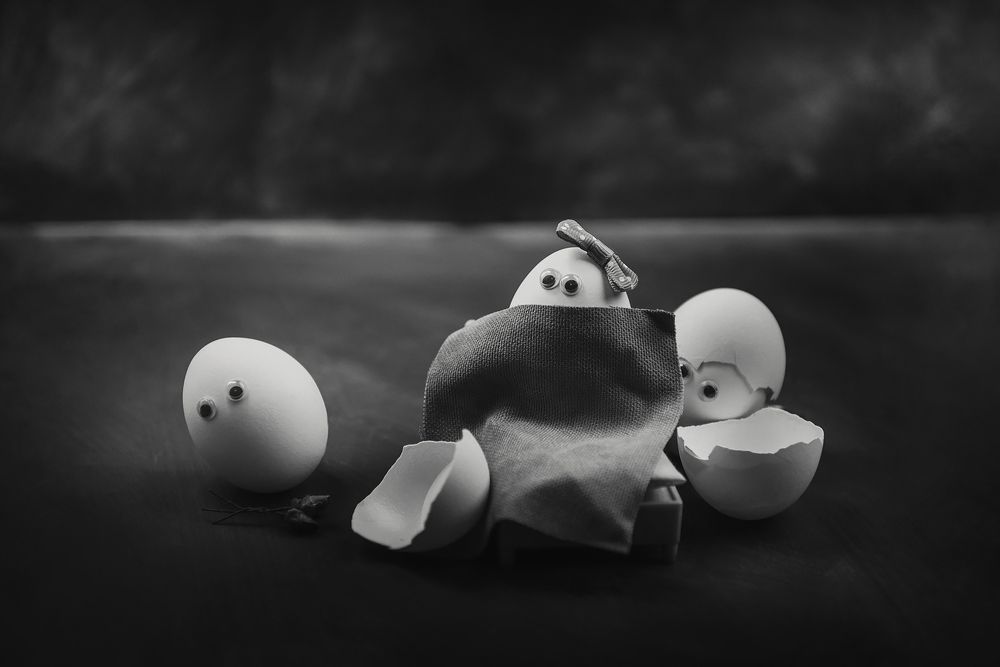 from the life of eggs