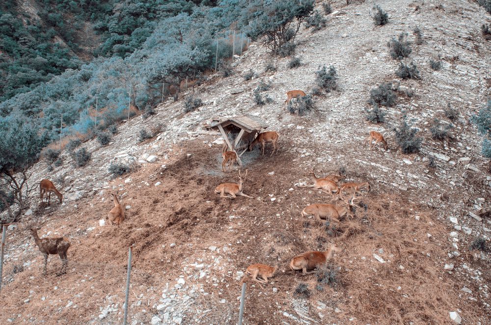 Photograph by Светлана Кондратьева