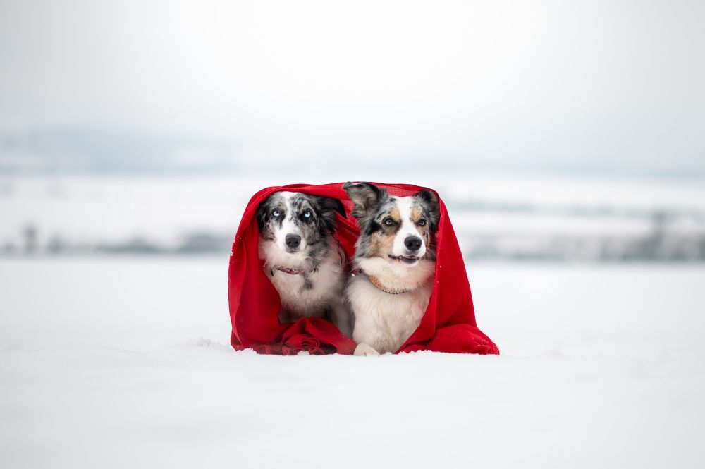 Photograph by Jakub Kudlovsky