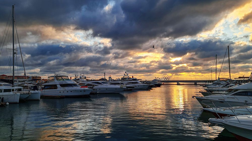 Рождество Новые Горизонты