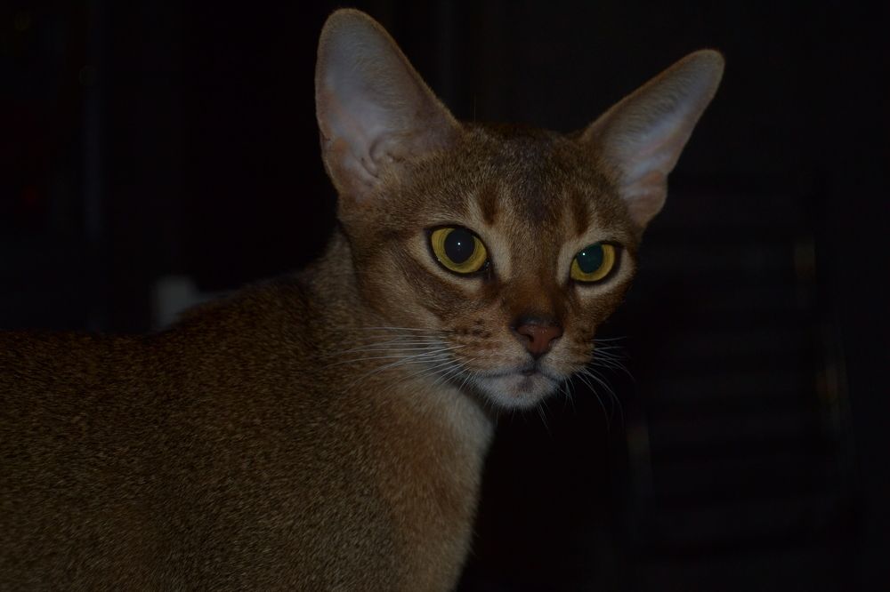 Photograph by Ольга Иноземцева