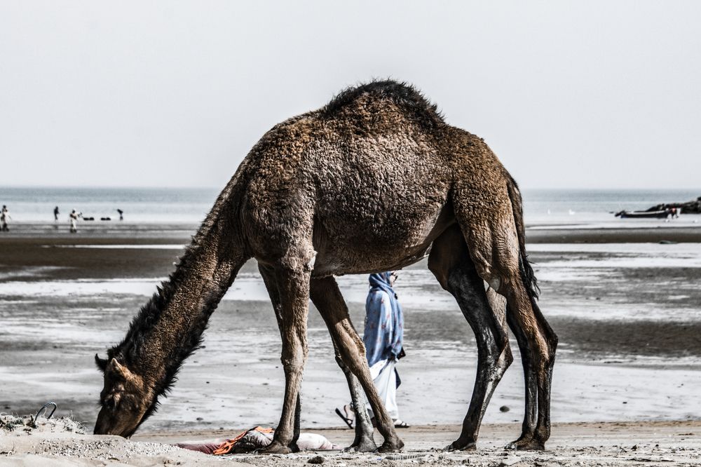 Photograph by Oruji Touraj