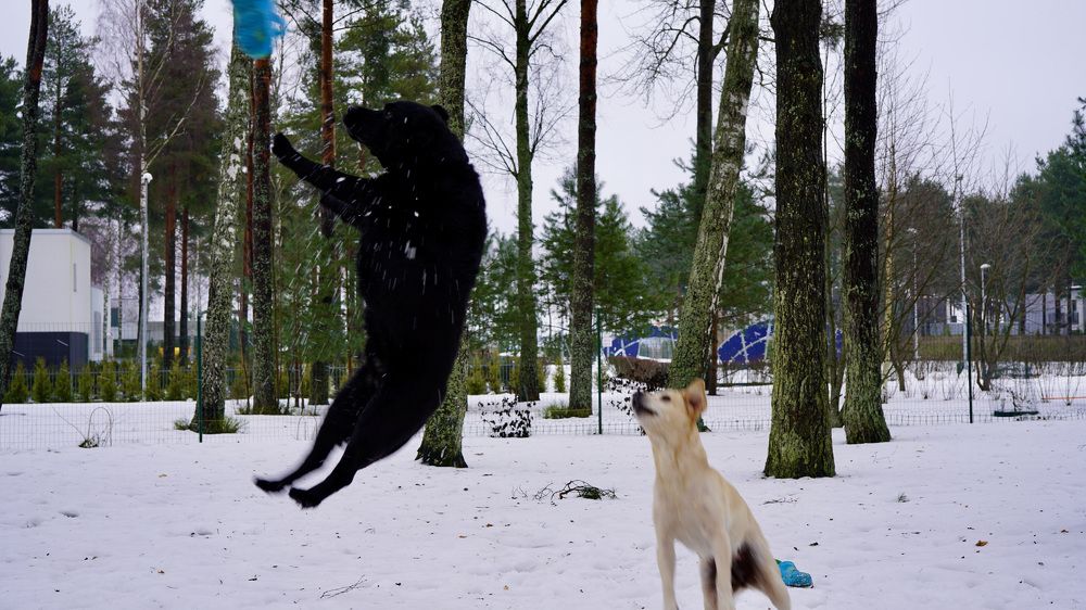 Photograph by Toomas Tõnisalu