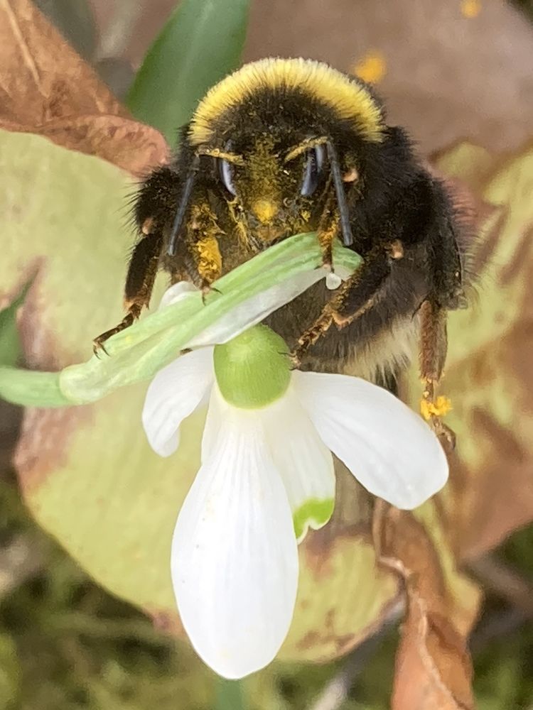 Photograph by Лена Гобена