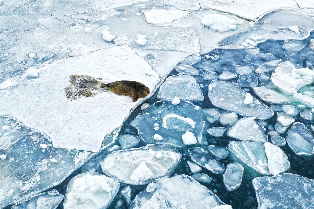 Перед купанием / Before swimming