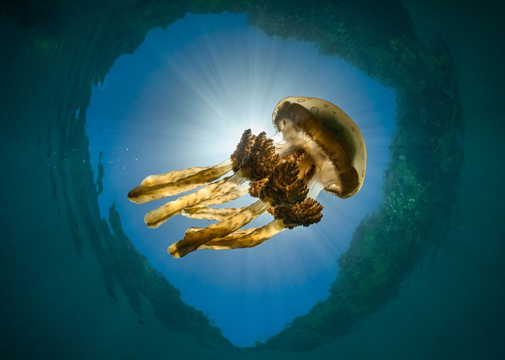 Photograph by Олег Гапонюк