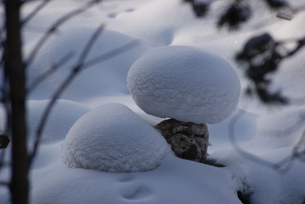 Photograph by Александра Бардамова