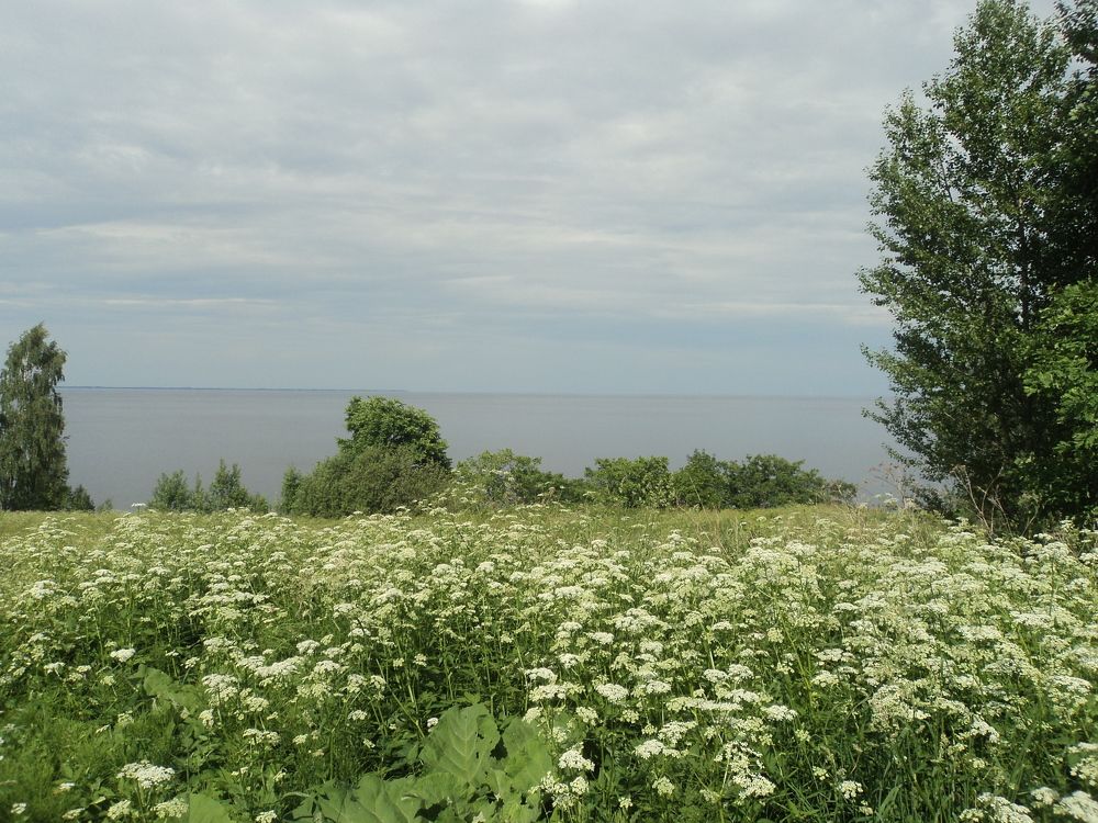 Photo #5869748