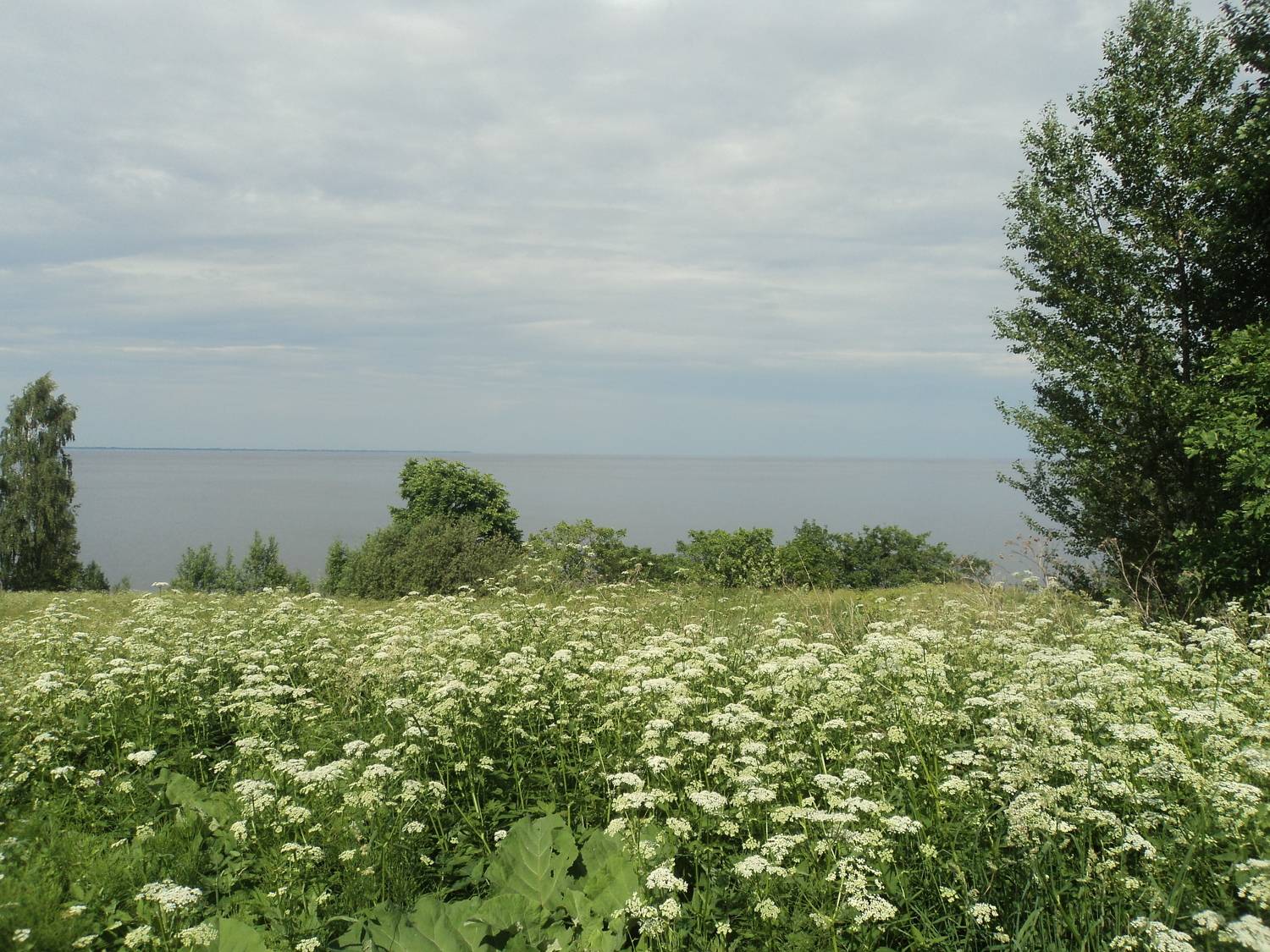 Photo #5869748