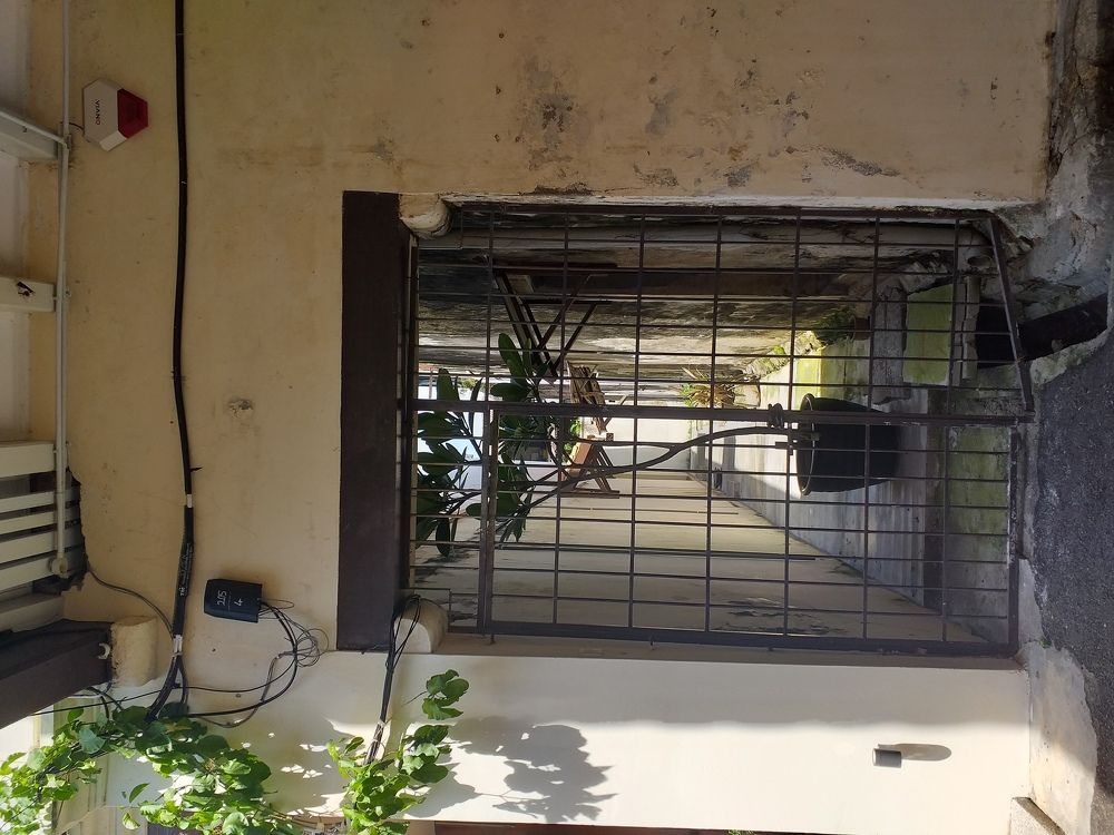 Caged Conifer
