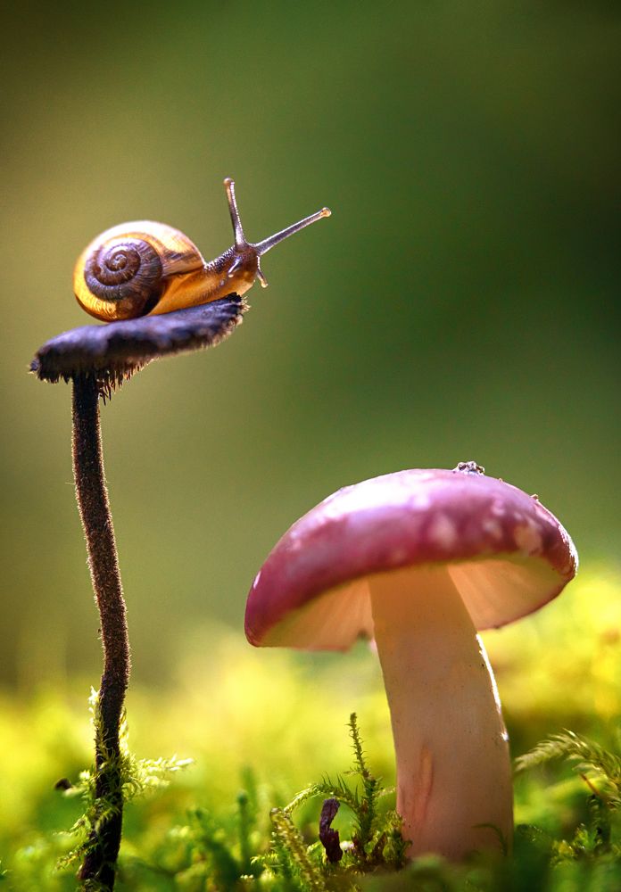 Photograph by Larianna Holm