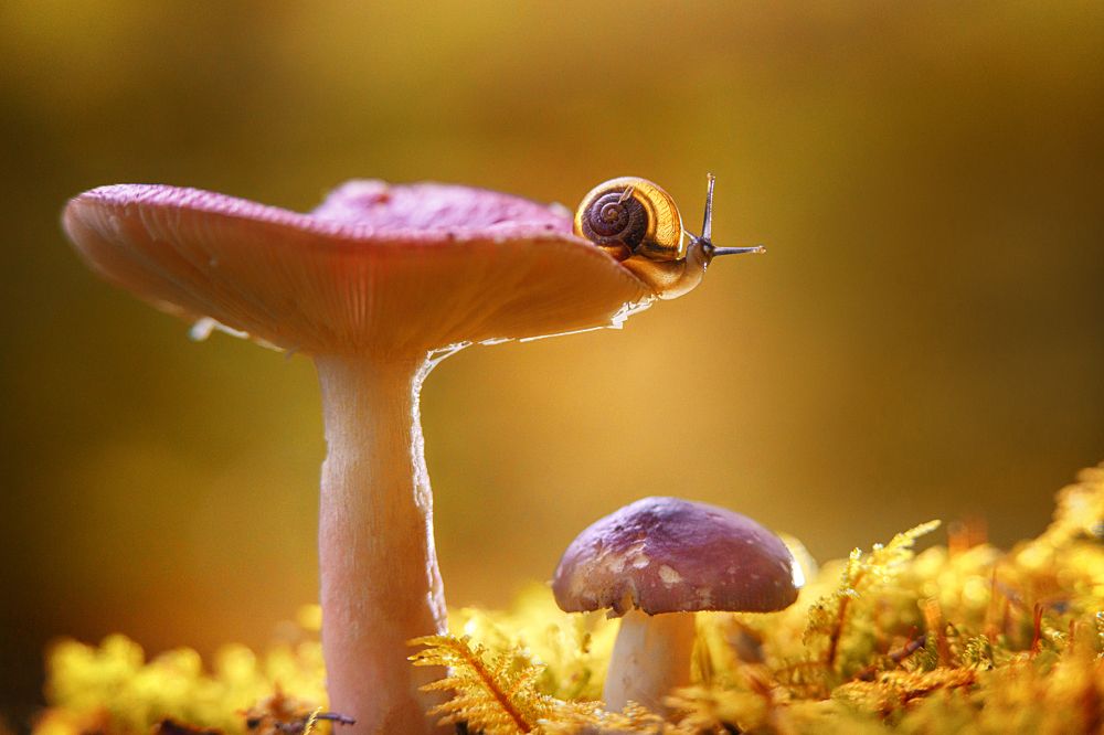 Photograph by Larianna Holm