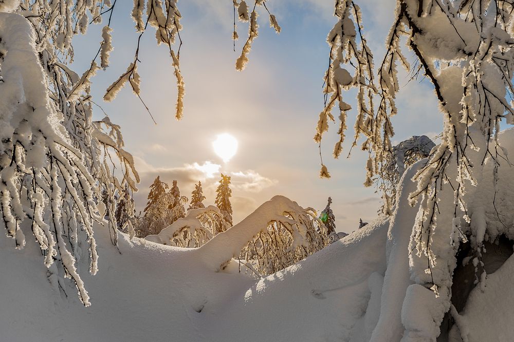 Photograph by Ирина Шутько