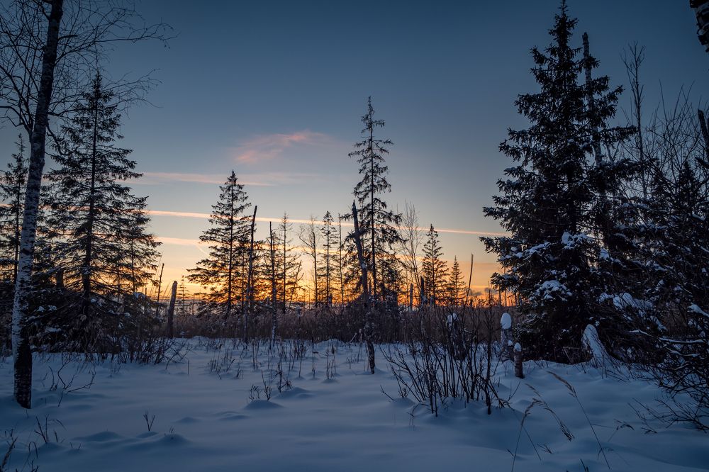 Photograph by Леонтьев Михаил