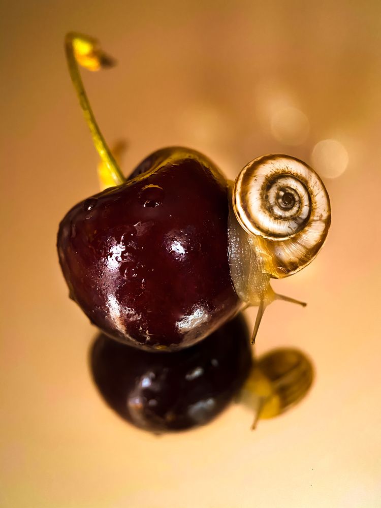 Photograph by Мария Чернецова