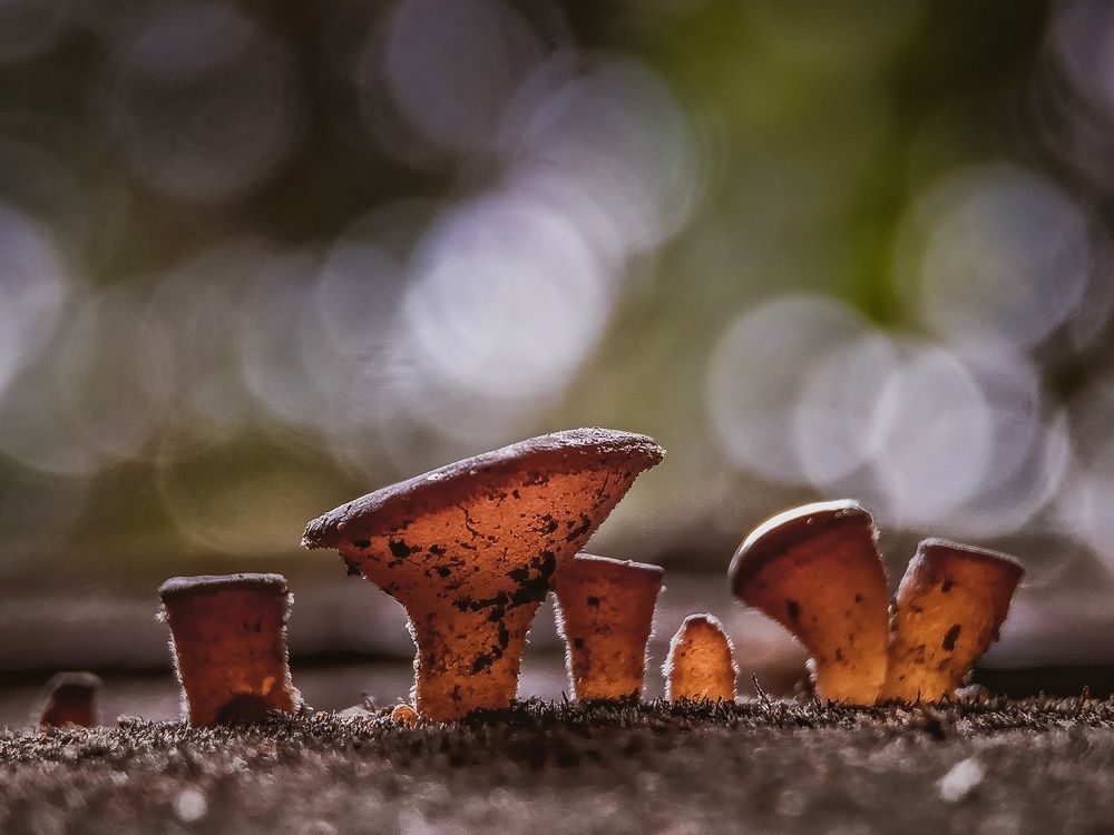 Photograph by Zaki Purnomo